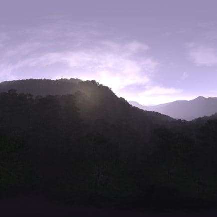 Morning Forest Hills HDRI Sky