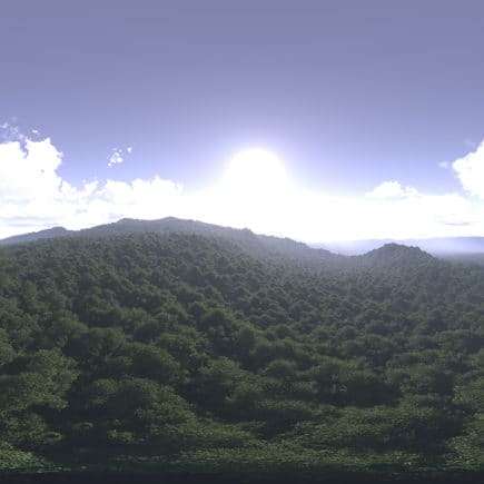 Late Morning Forest HDRI Sky
