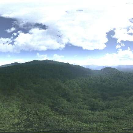 Noon Forest HDRI Sky