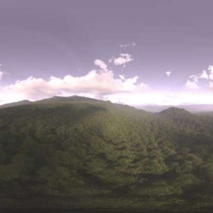 Early Evening Forest HDRI Sky
