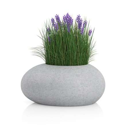 Grass with Flowers in Concrete Pot